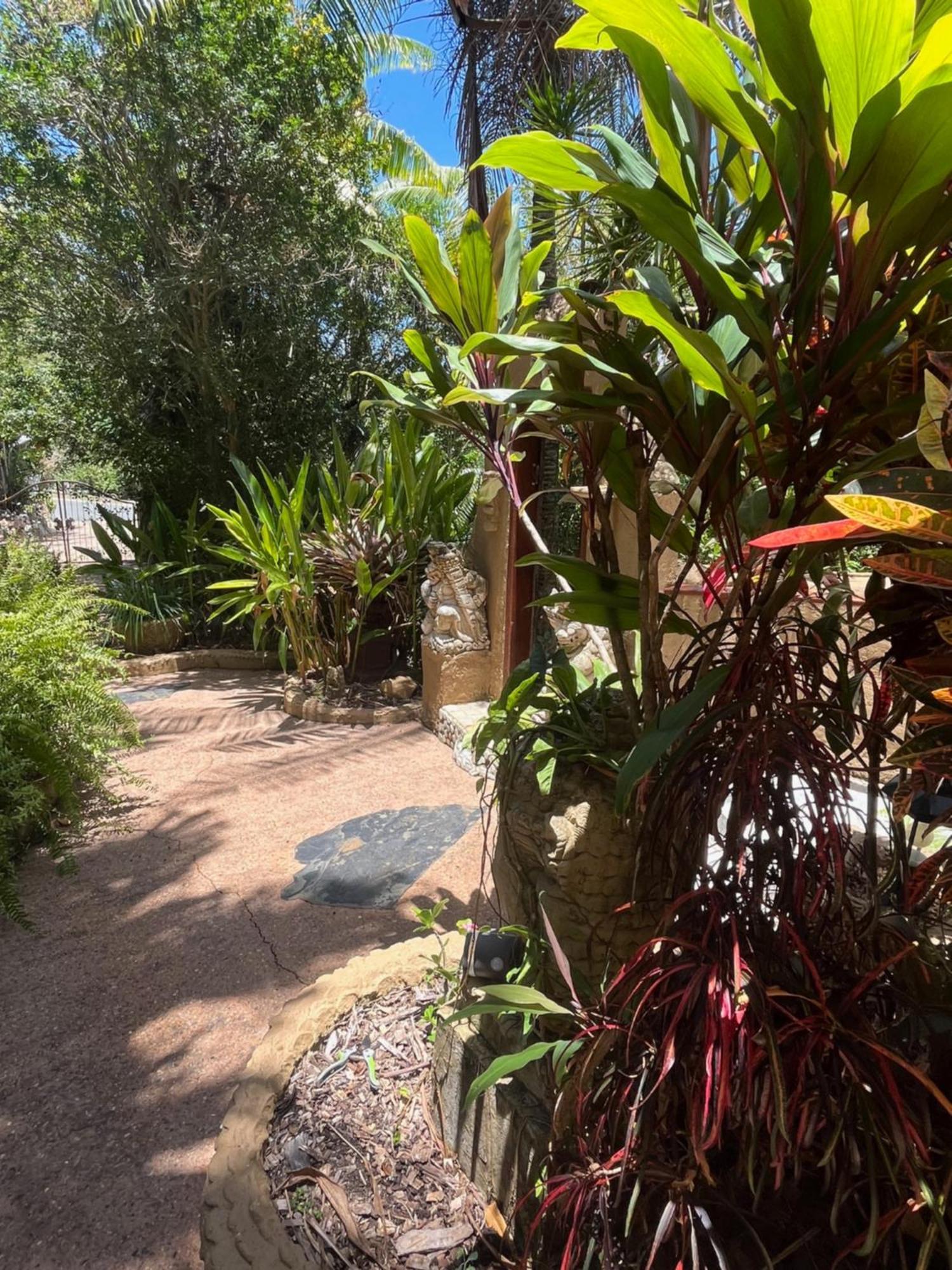 Whitsundays Bnb Retreat Airlie Beach Exteriör bild