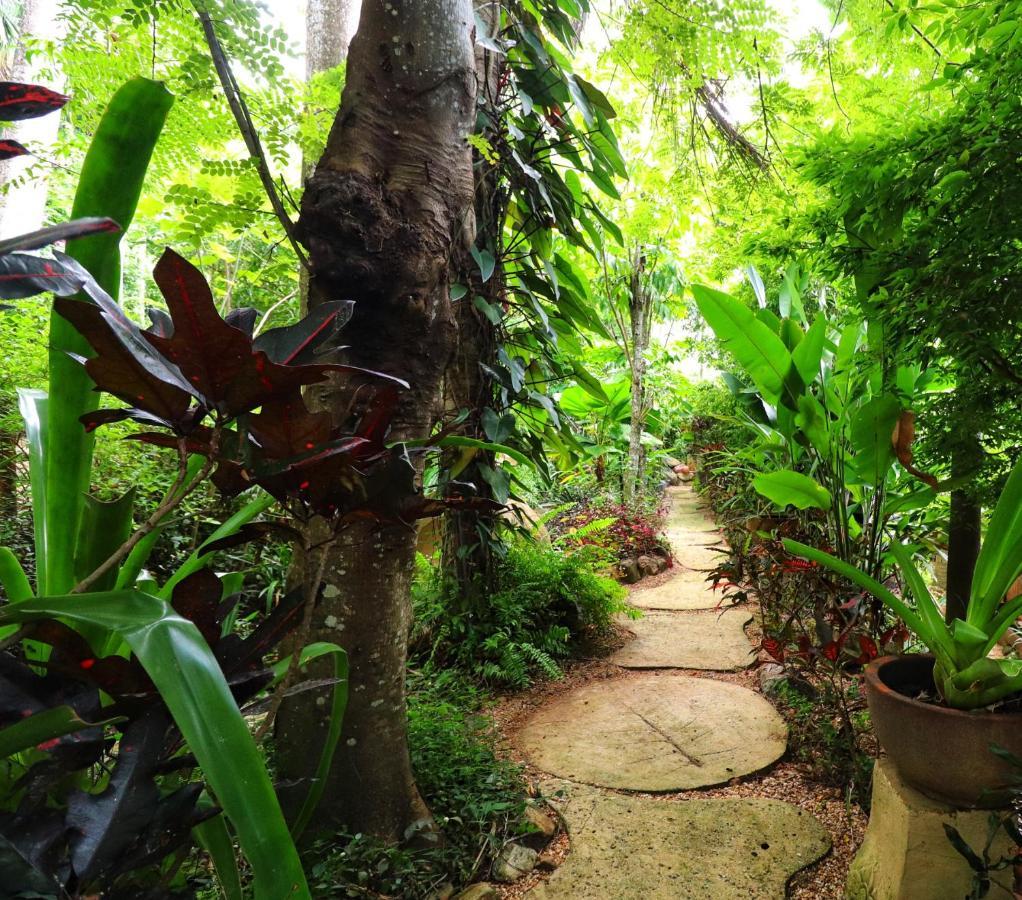 Whitsundays Bnb Retreat Airlie Beach Exteriör bild